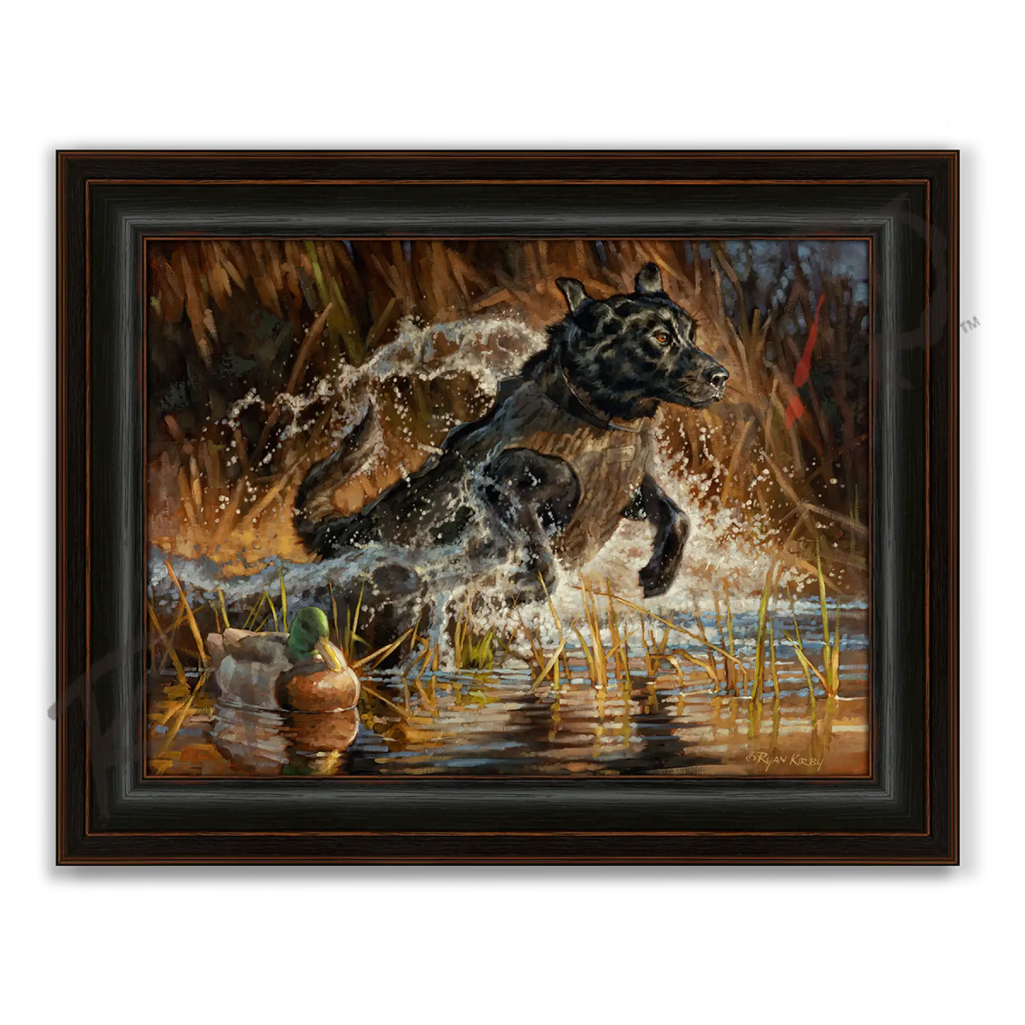 ’Into The Limelight’ Black Labrador Retriever Canvas Art Print - Midnight Oak - Canvas Print