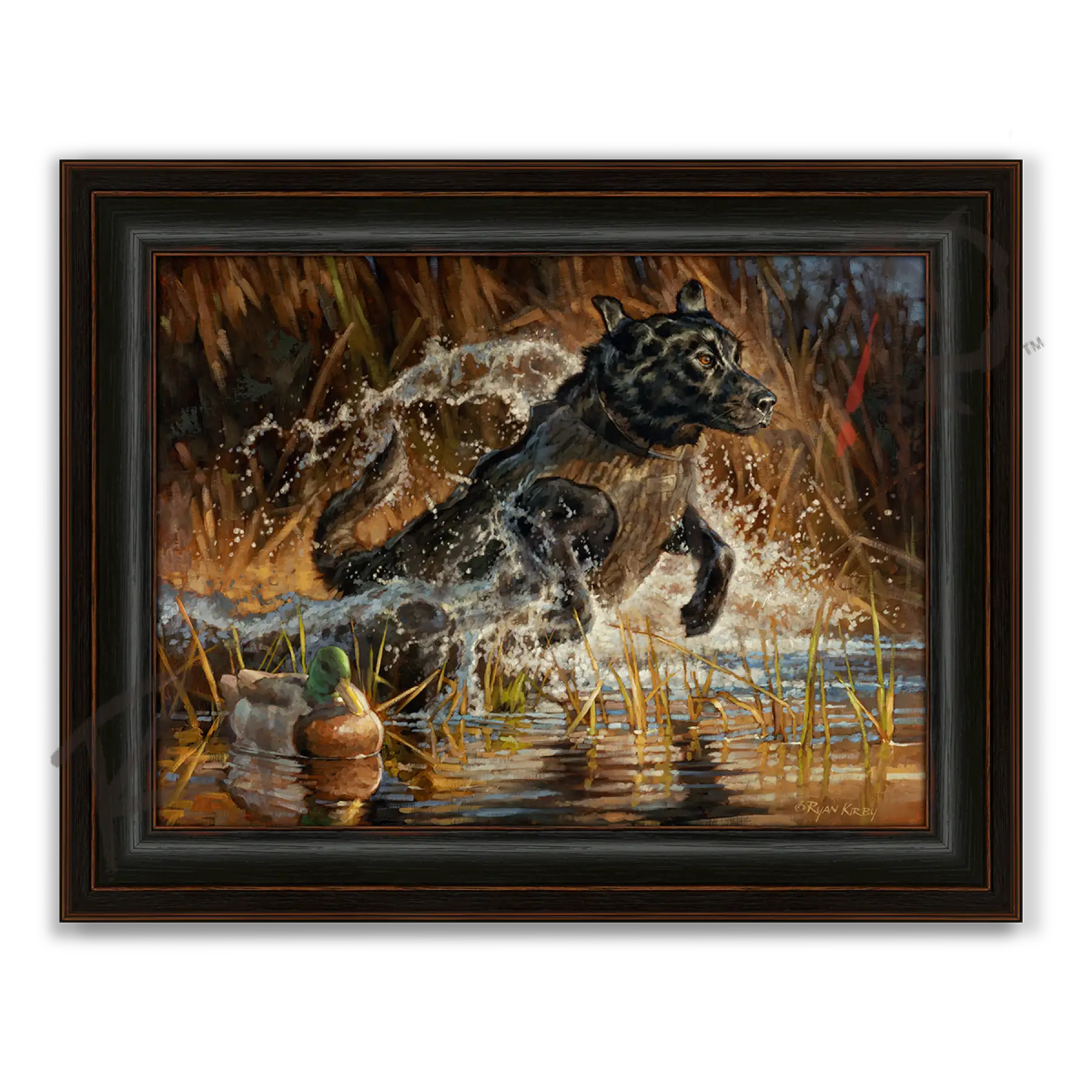 ’Into The Limelight’ Black Labrador Retriever Canvas Art Print - Midnight Oak - Canvas Print