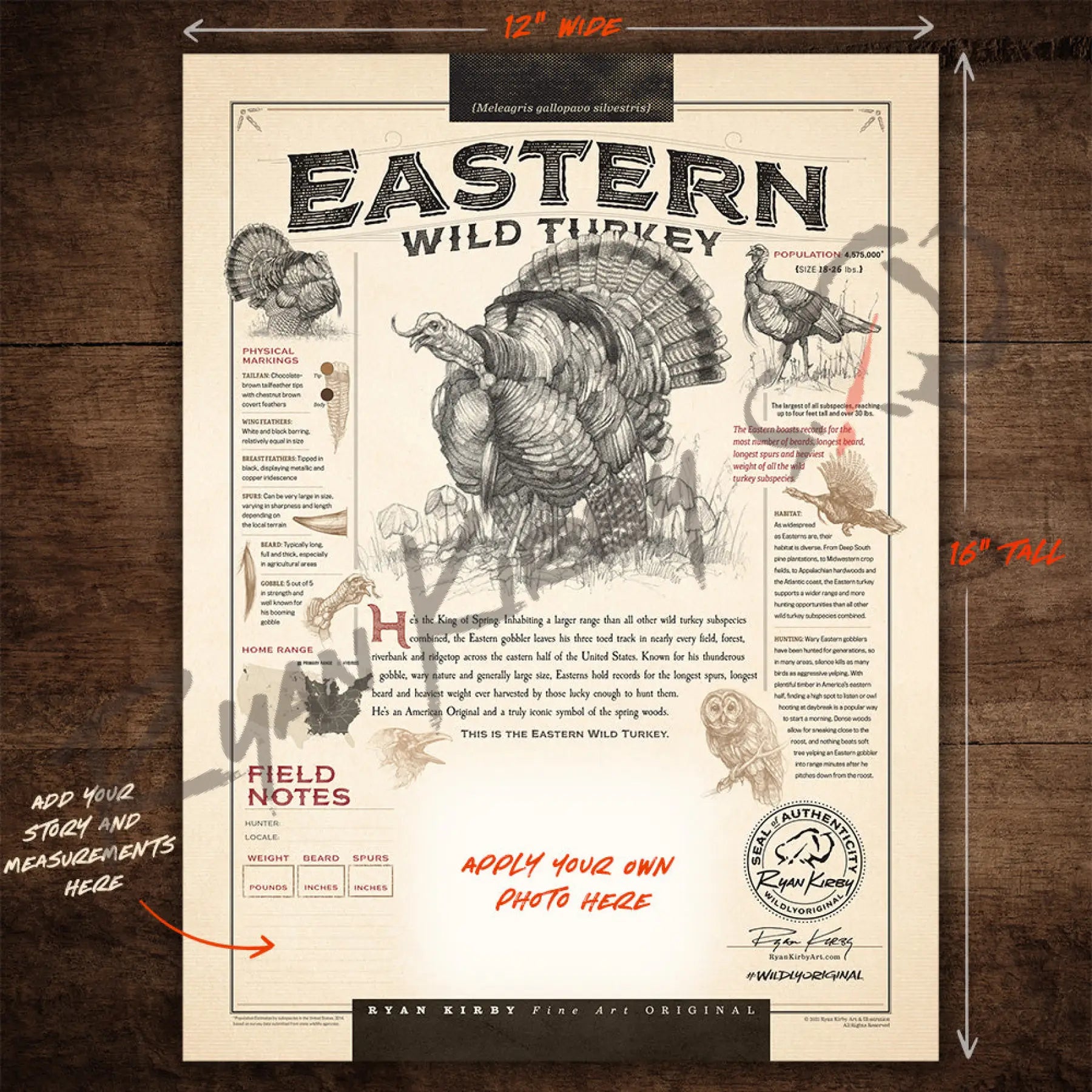 Just The Shell - “Eastern Wild Turkey” Customizable Paper Print Custom