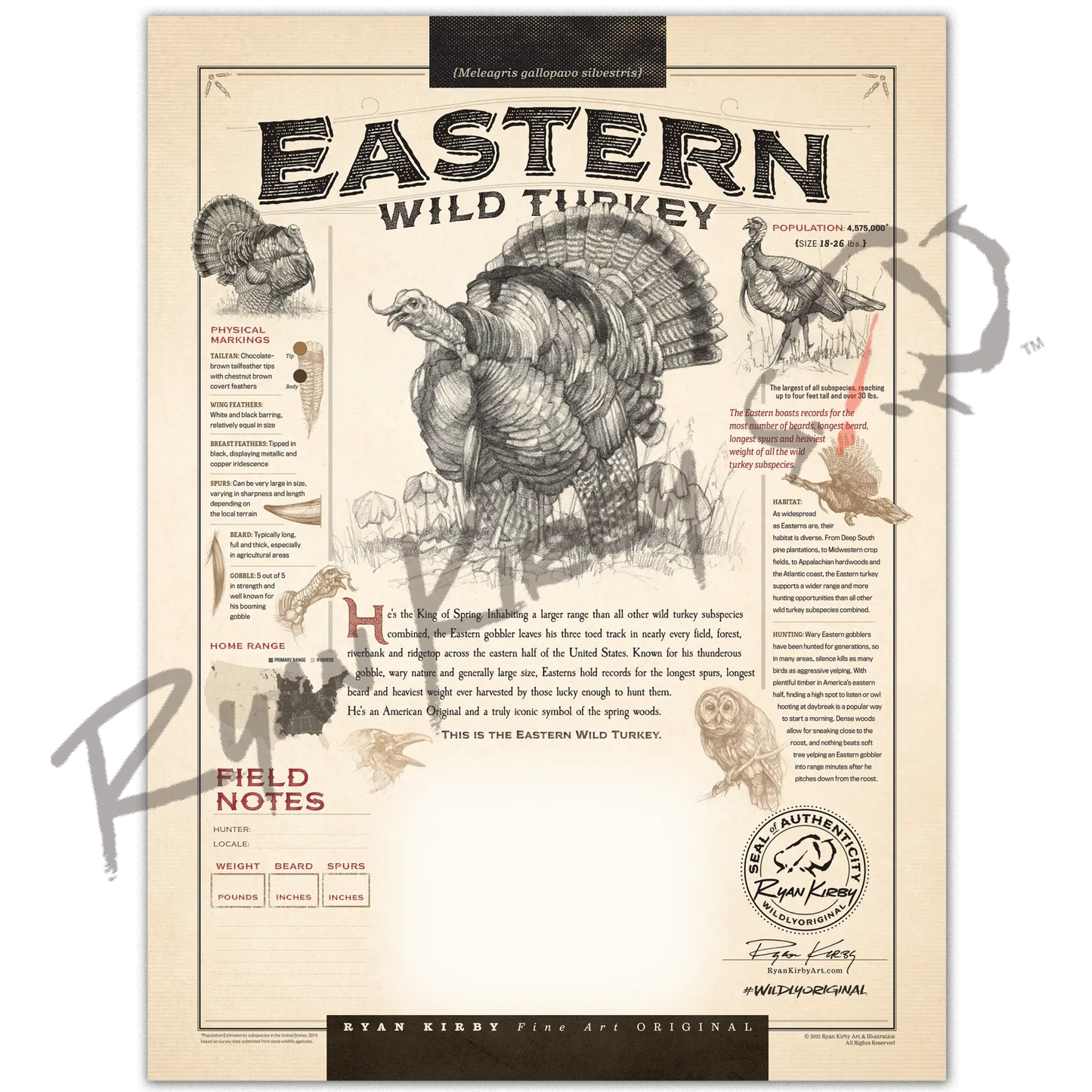 Just The Shell - “Eastern Wild Turkey” Customizable Paper Print Custom