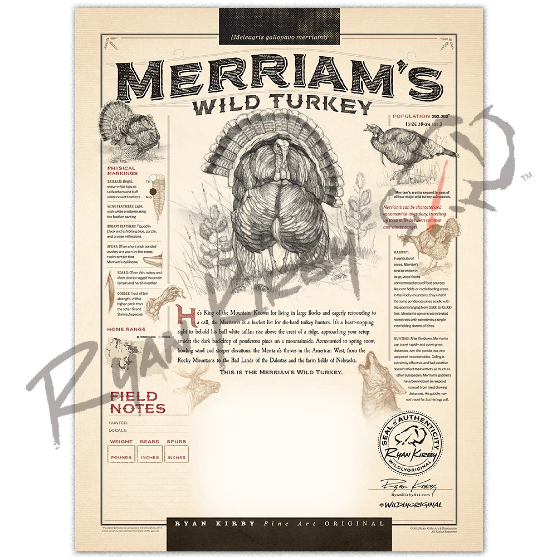 Just The Shell - “Merriam Wild Turkey” Customizable Paper Print Custom