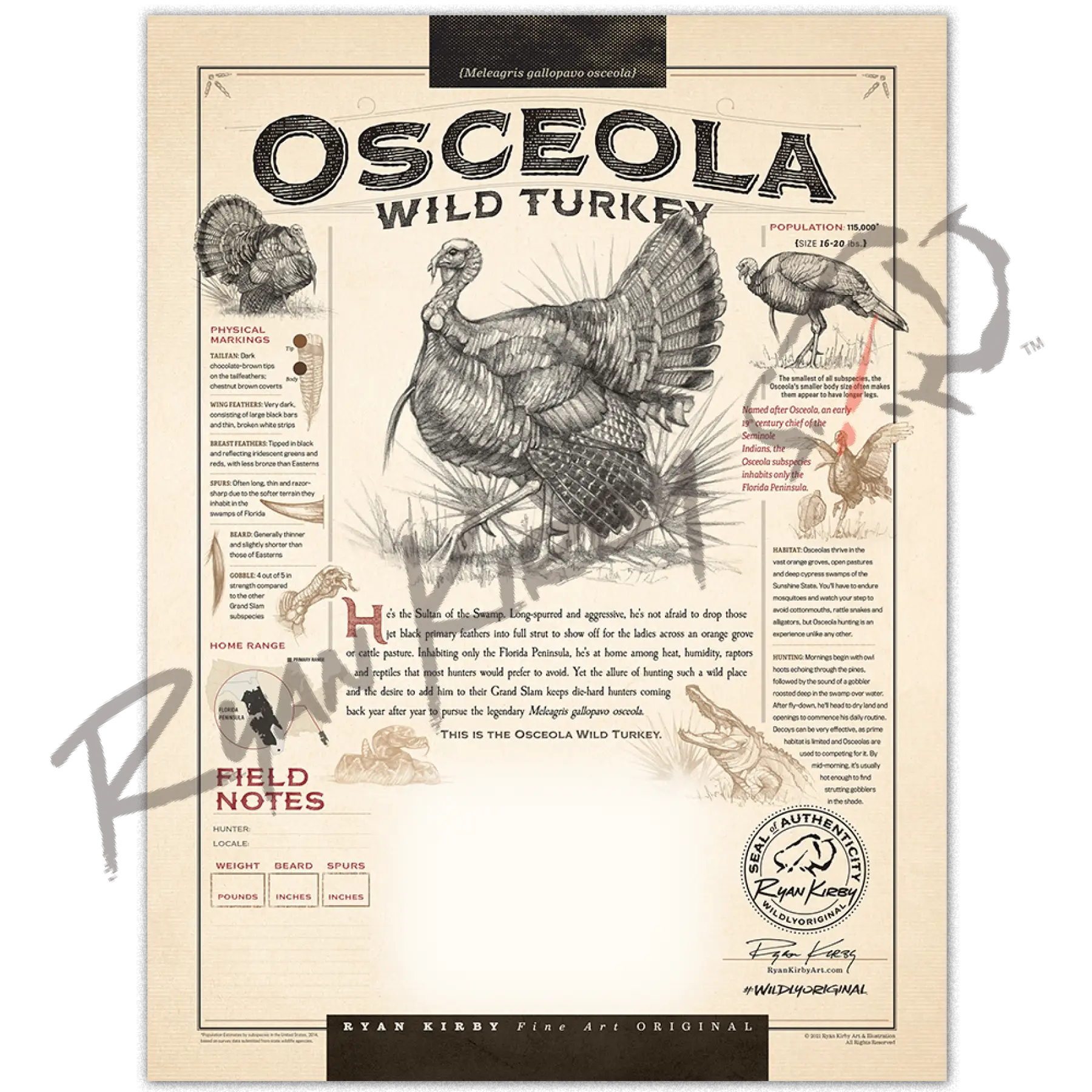 Just The Shell - “Osceola Wild Turkey” Customizable Paper Print Custom