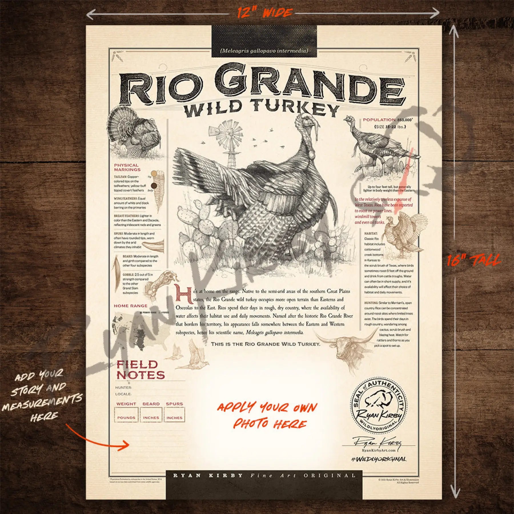 Just The Shell - “Rio Grande Wild Turkey” Customizable Paper Print Custom