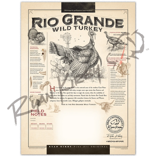 Just The Shell - “Rio Grande Wild Turkey” Customizable Paper Print Custom