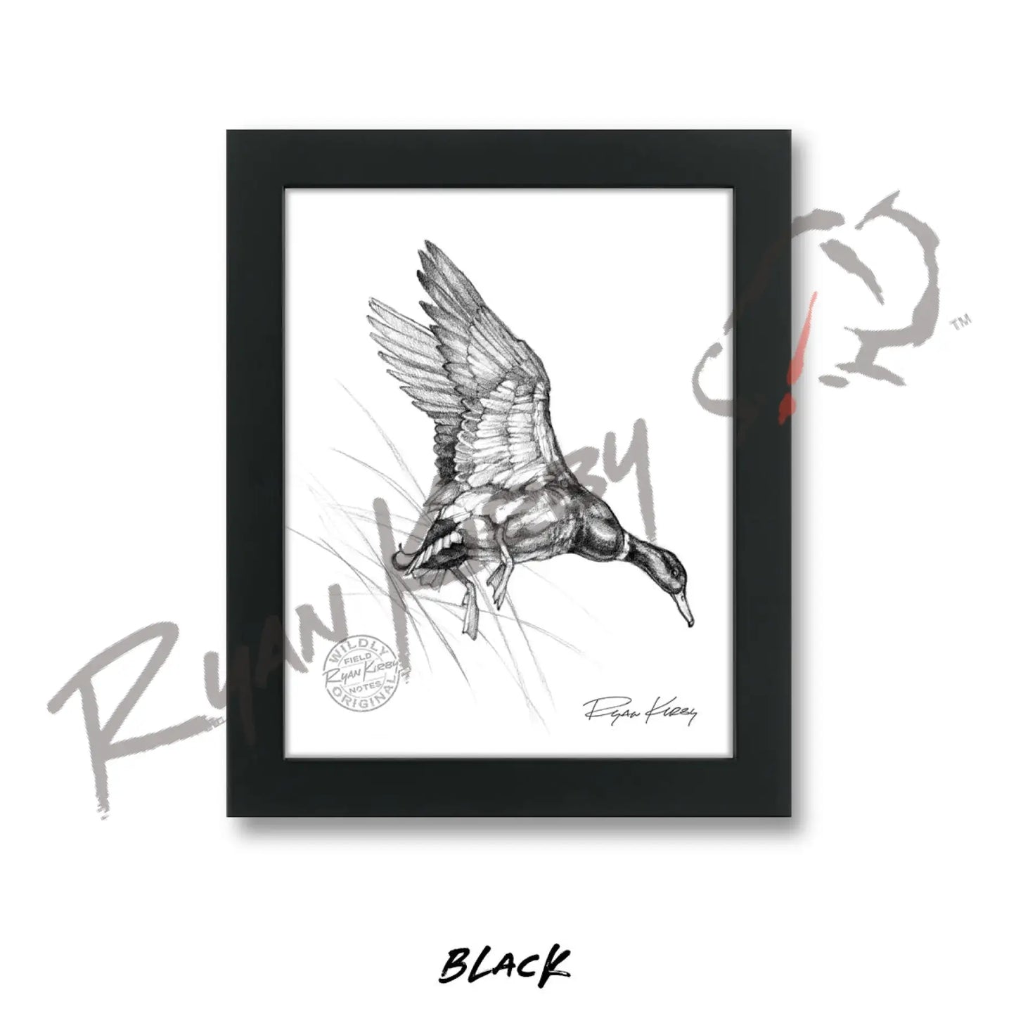 Landing Mallard Duck Sketch Print Sketch Paper Print