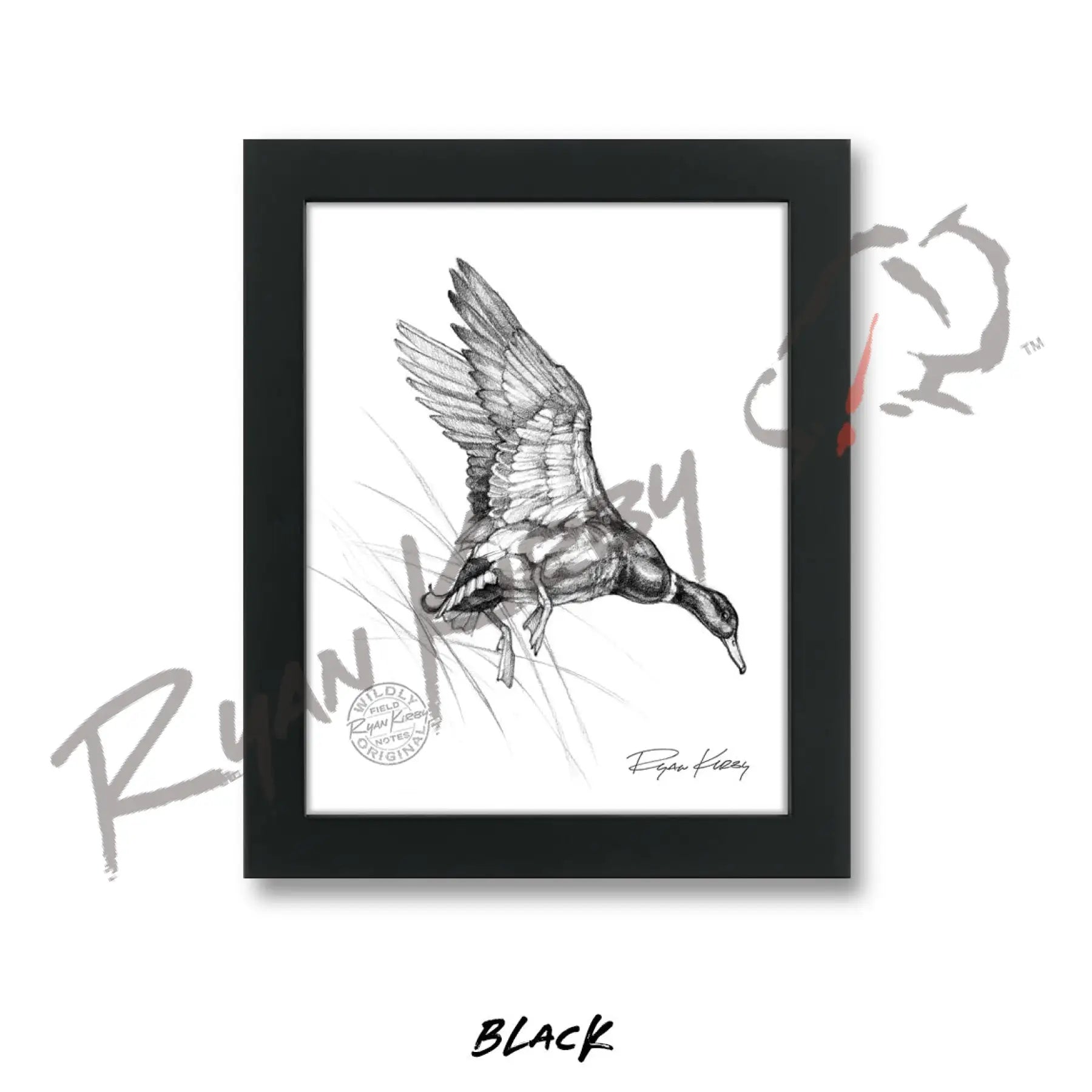 Landing Mallard Duck Sketch Print Sketch Paper Print
