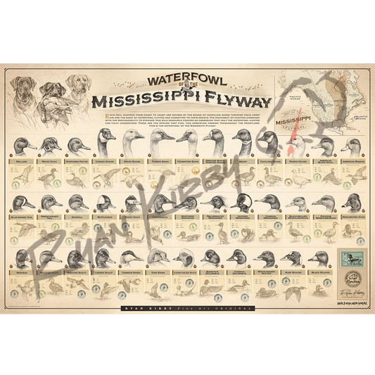 Large ’Waterfowl Of The Mississippi Flyway’ Paper Print