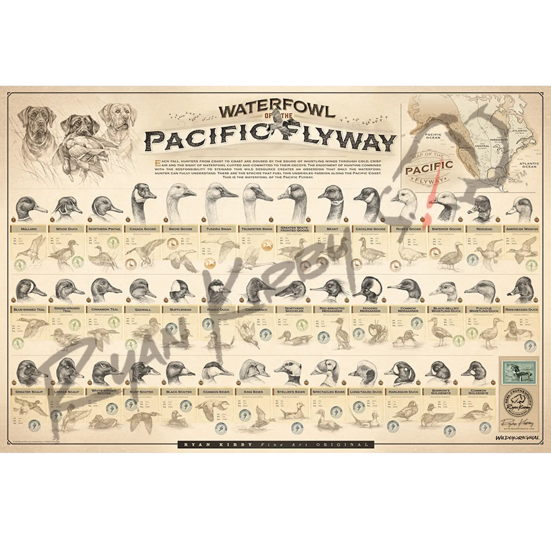 Large ’Waterfowl Of The Pacific Flyway’ Paper Print