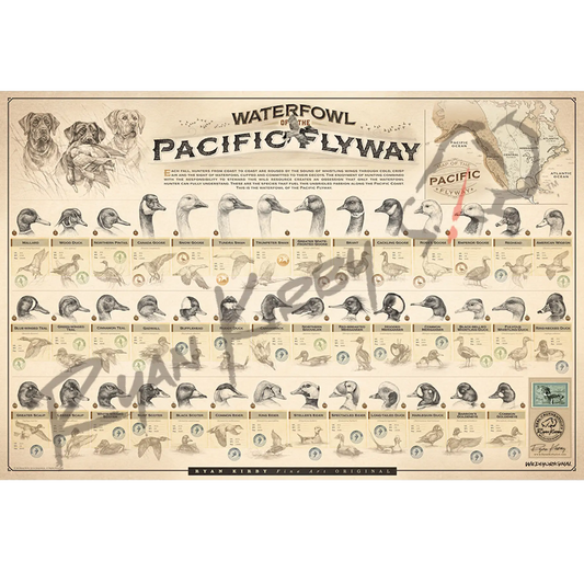 Large ’Waterfowl Of The Pacific Flyway’ Paper Print