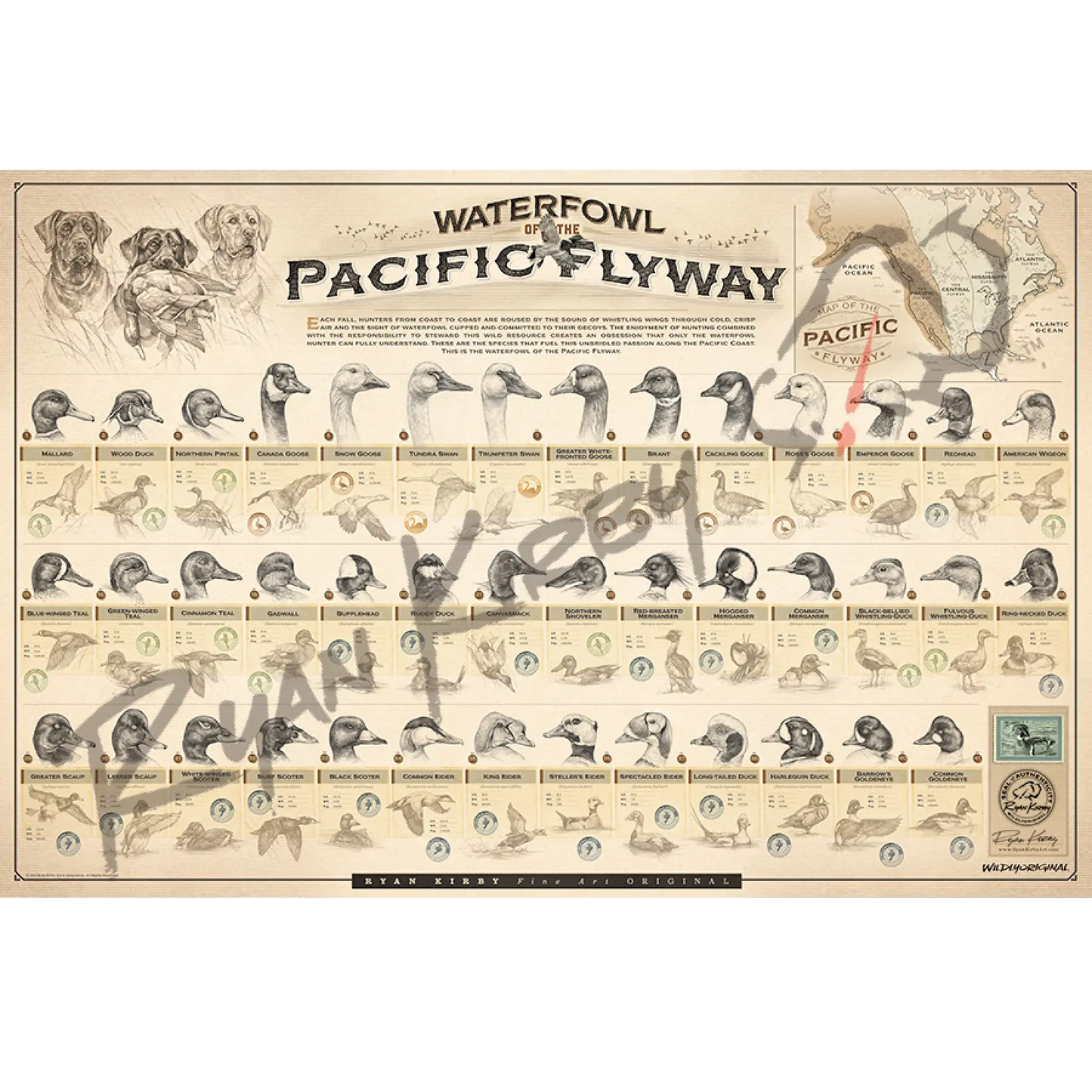 Large ’Waterfowl Of The Pacific Flyway’ Paper Print