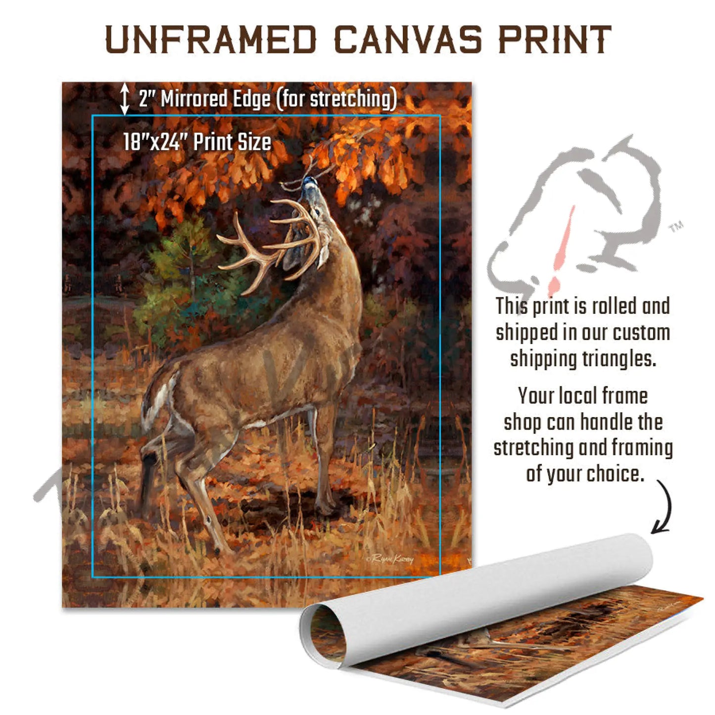 ’Makers Mark’ White-Tailed Buck In A Scrape Canvas Art Print