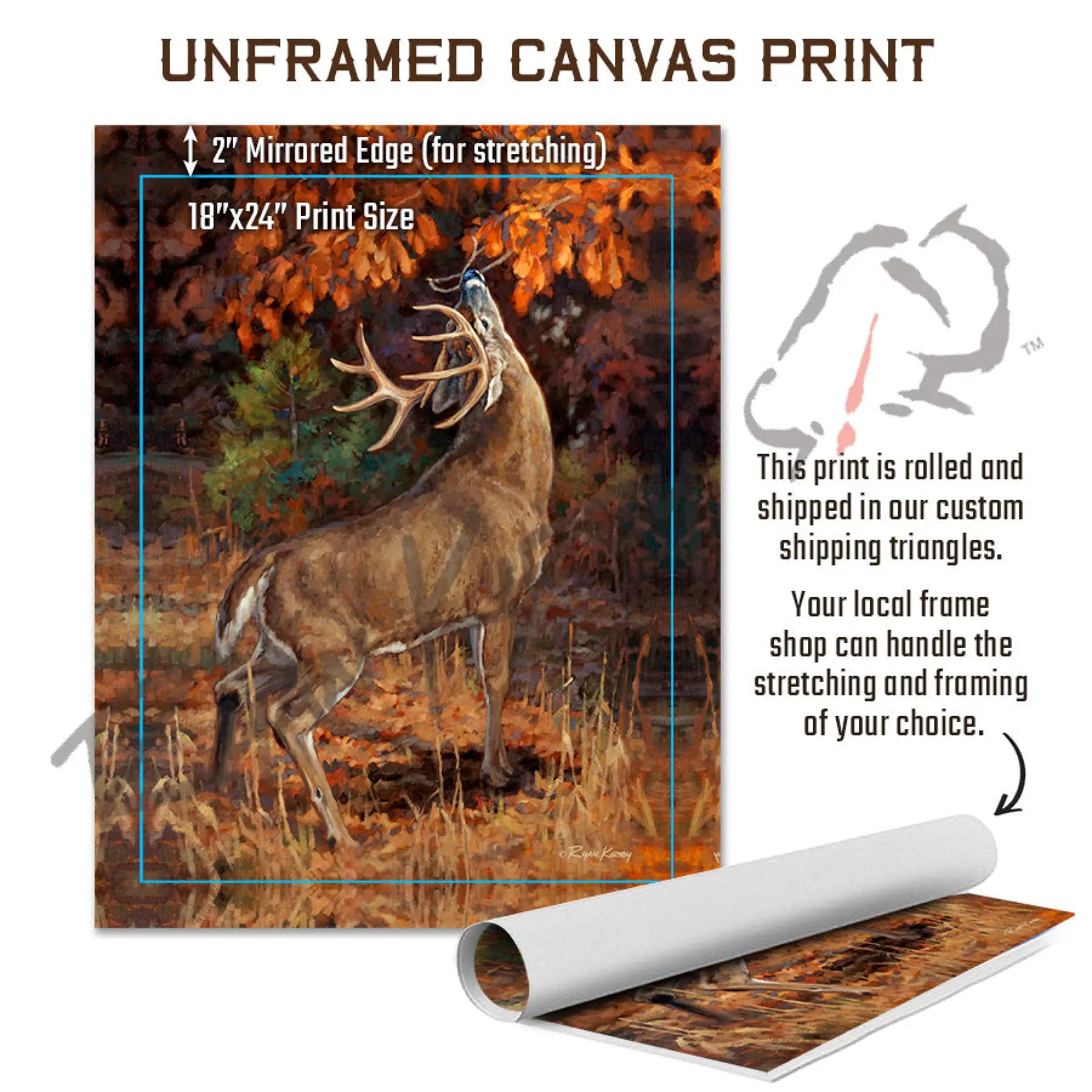 ’Makers Mark’ White-Tailed Buck In A Scrape Canvas Art Print