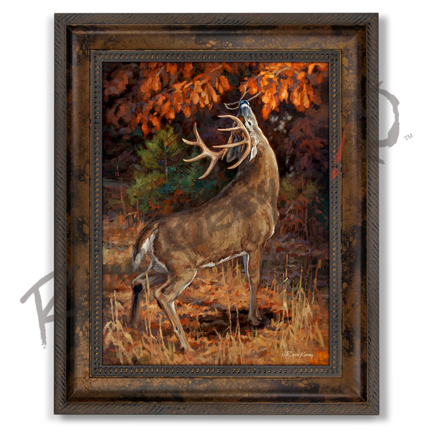 ’Makers Mark’ White-Tail Buck Canvas Art Print (Copy) Classic Bronze