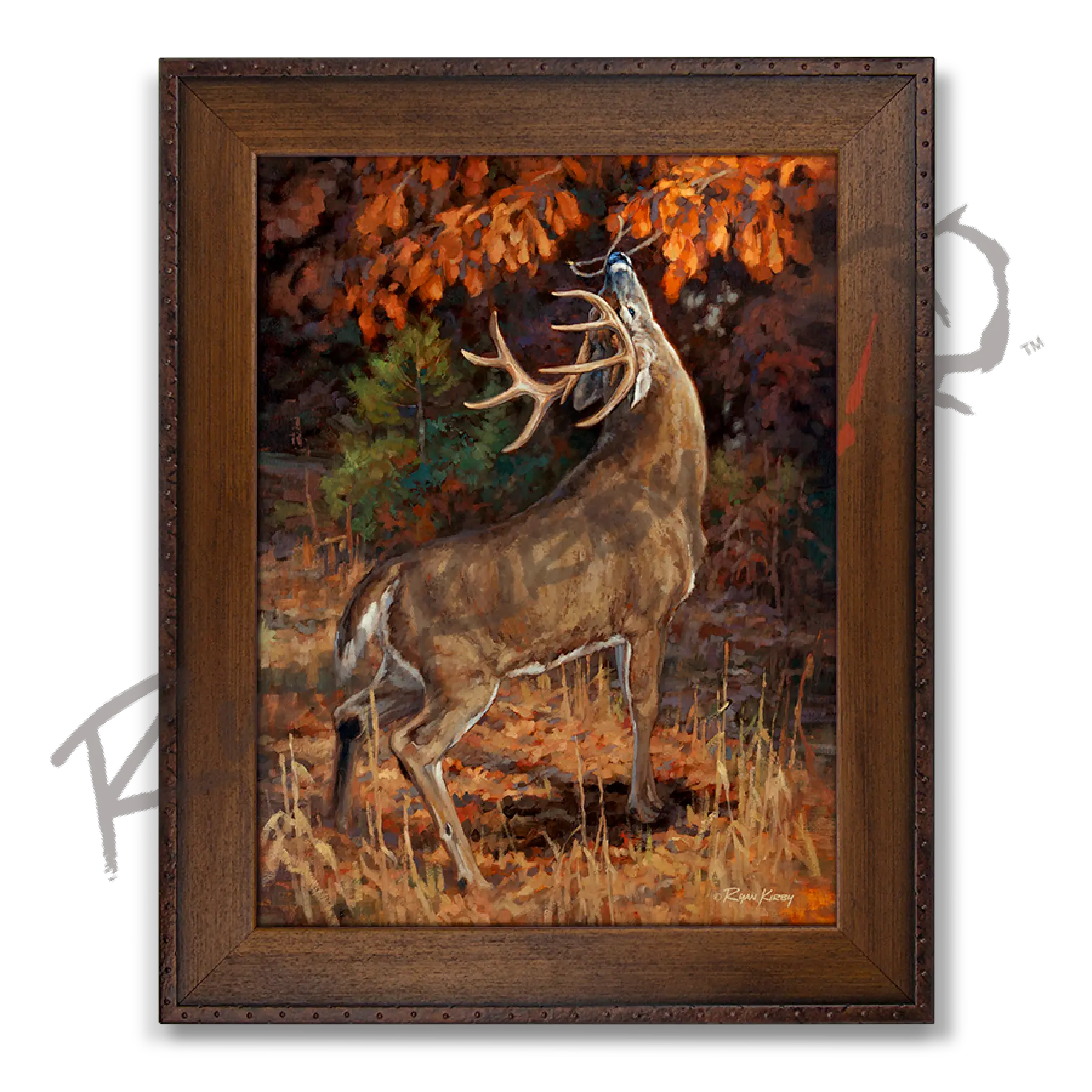 ’Makers Mark’ White-Tail Buck Canvas Art Print (Copy) Copper Barrel