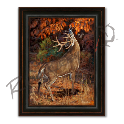 ’Makers Mark’ White-tailed Buck in a Scrape Canvas Art Print - Midnight Oak - Canvas Print