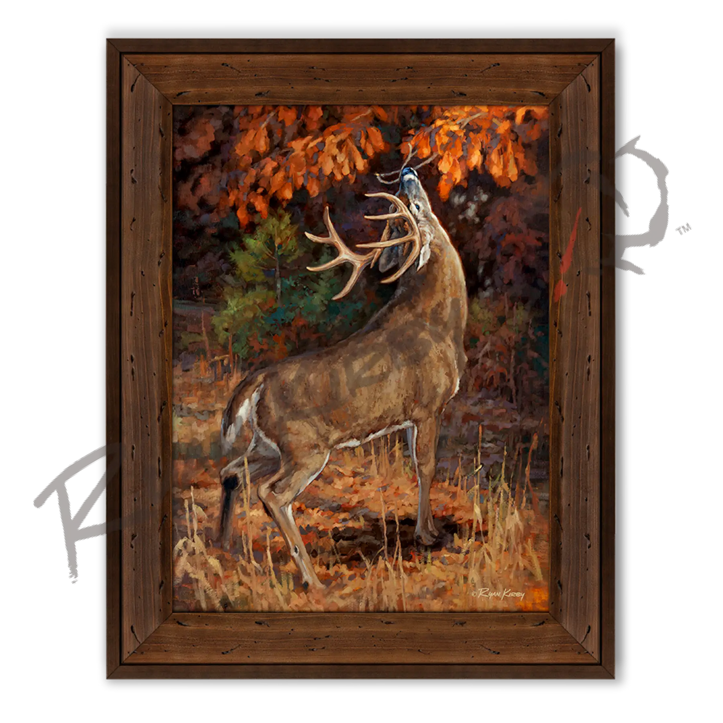 ’Makers Mark’ White-Tail Buck Canvas Art Print (Copy) Reclaimed Chestnut