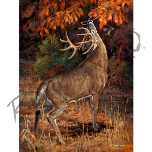 ’Makers Mark’ White-Tail Buck Canvas Art Print (Copy) Unframed Rolled