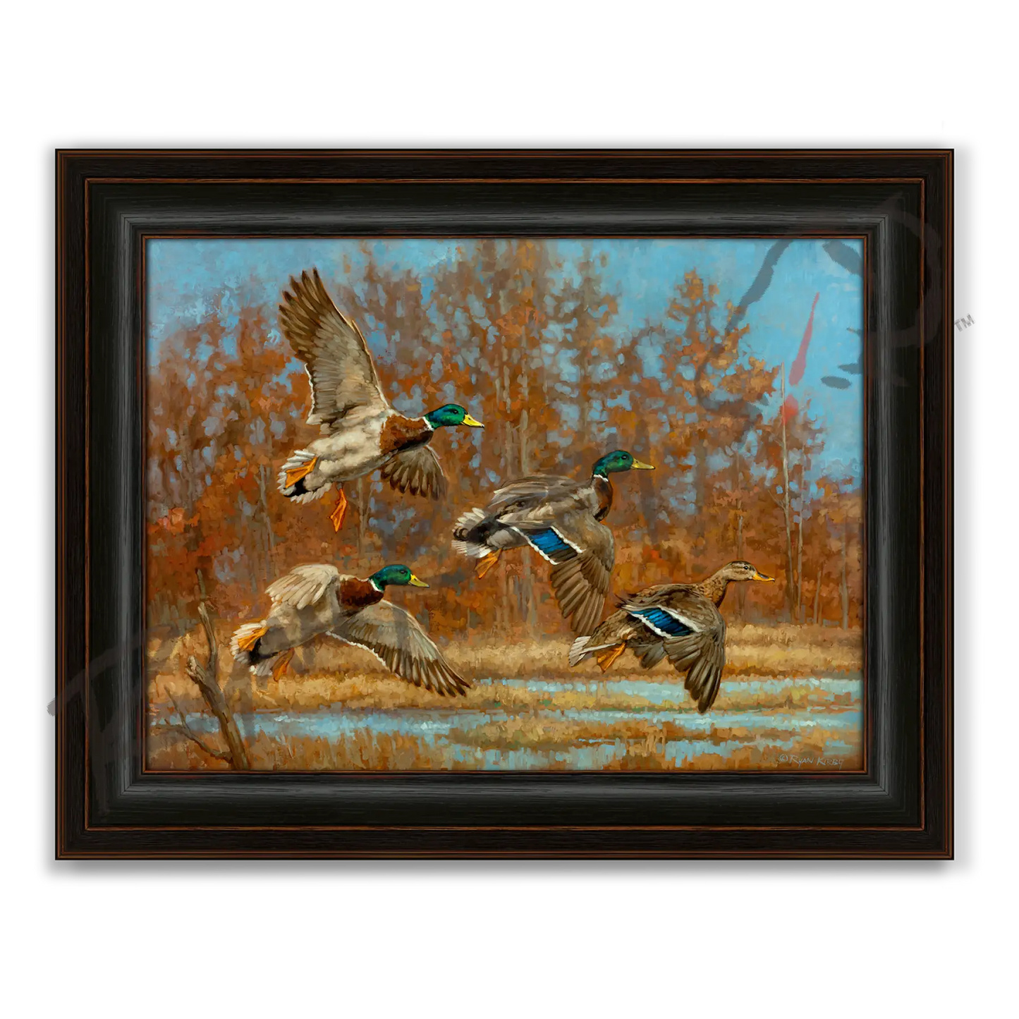 ’Marsh Madness’ Flying Mallards Canvas Art Print - Midnight Oak - Canvas Print