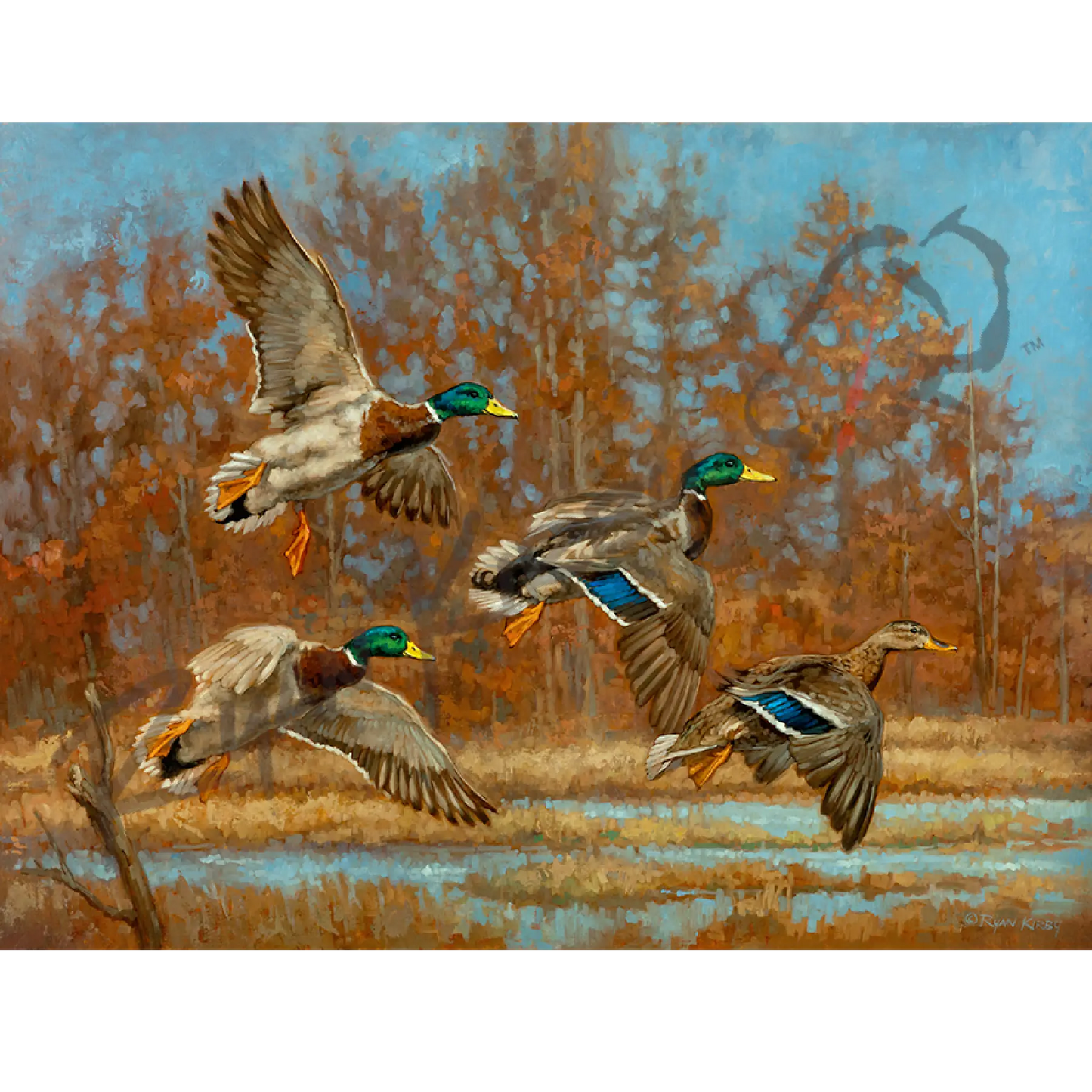 ’Marsh Madness’ Flying Mallards Canvas Art Print