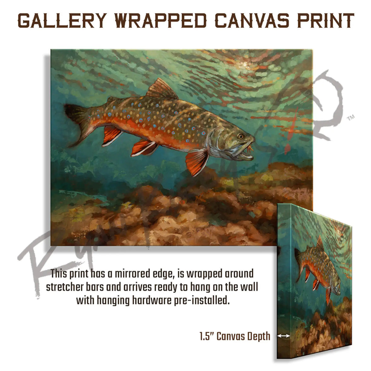 ’Moment of Beauty’ Brook Trout Canvas Art Print - Gallery Wrapped - Canvas Print