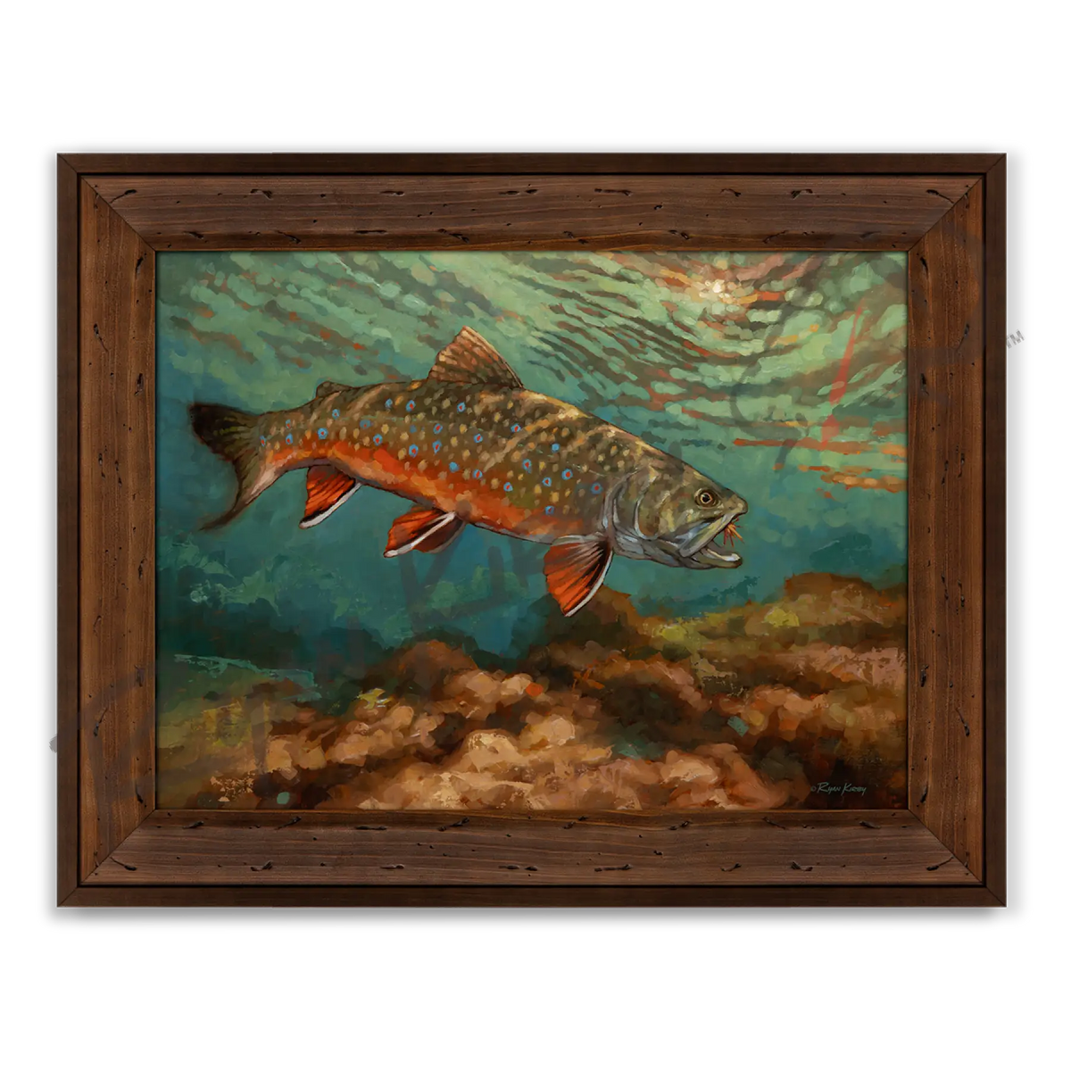 ’Moment of Beauty’ Brook Trout Canvas Art Print - Reclaimed Chestnut - Canvas Print