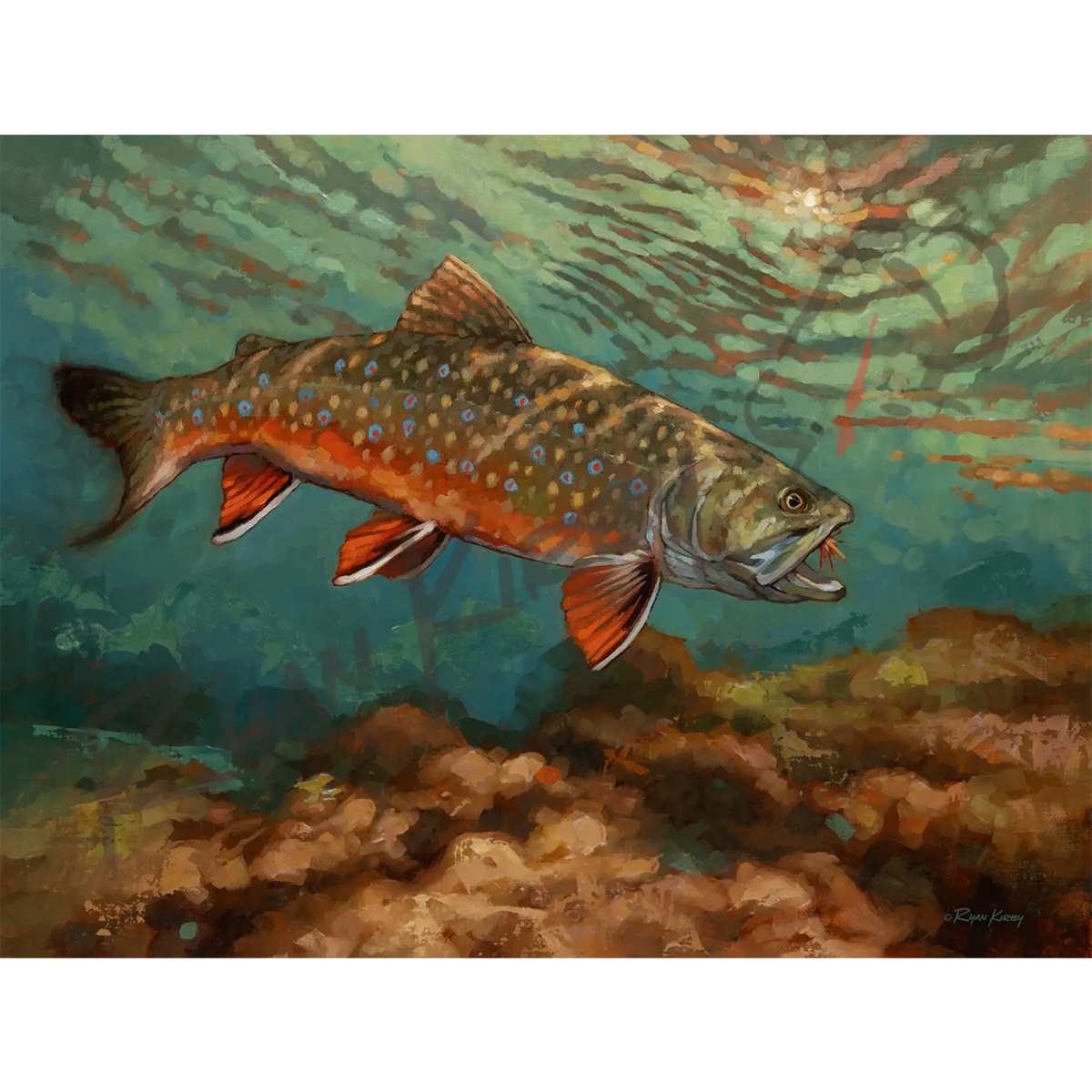 ’Moment of Beauty’ Brook Trout Canvas Art Print - Unframed, Rolled Canvas - Canvas Print