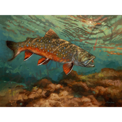 ’Moment of Beauty’ Brook Trout Canvas Art Print - Unframed, Rolled Canvas - Canvas Print