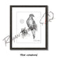 Mourning Dove Study Sketch Print Sketch Paper Print