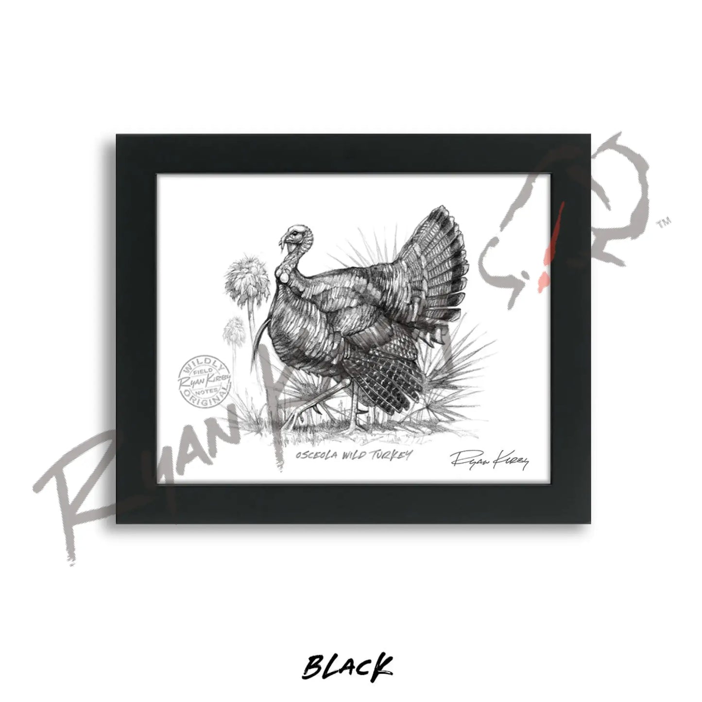 Osceola Wild Turkey Sketch Print Sketch Paper Print