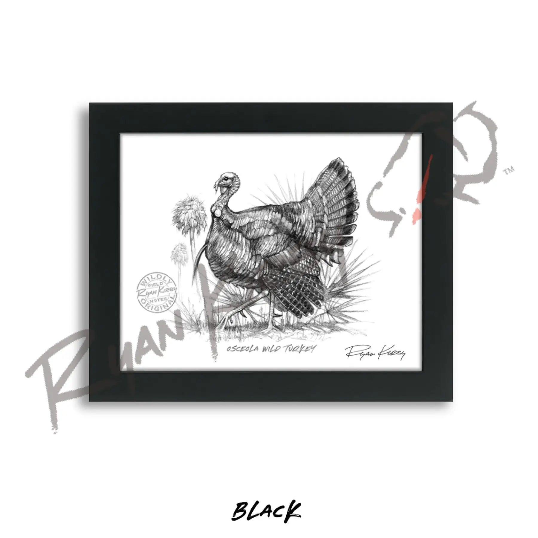 Osceola Wild Turkey Sketch Print Sketch Paper Print