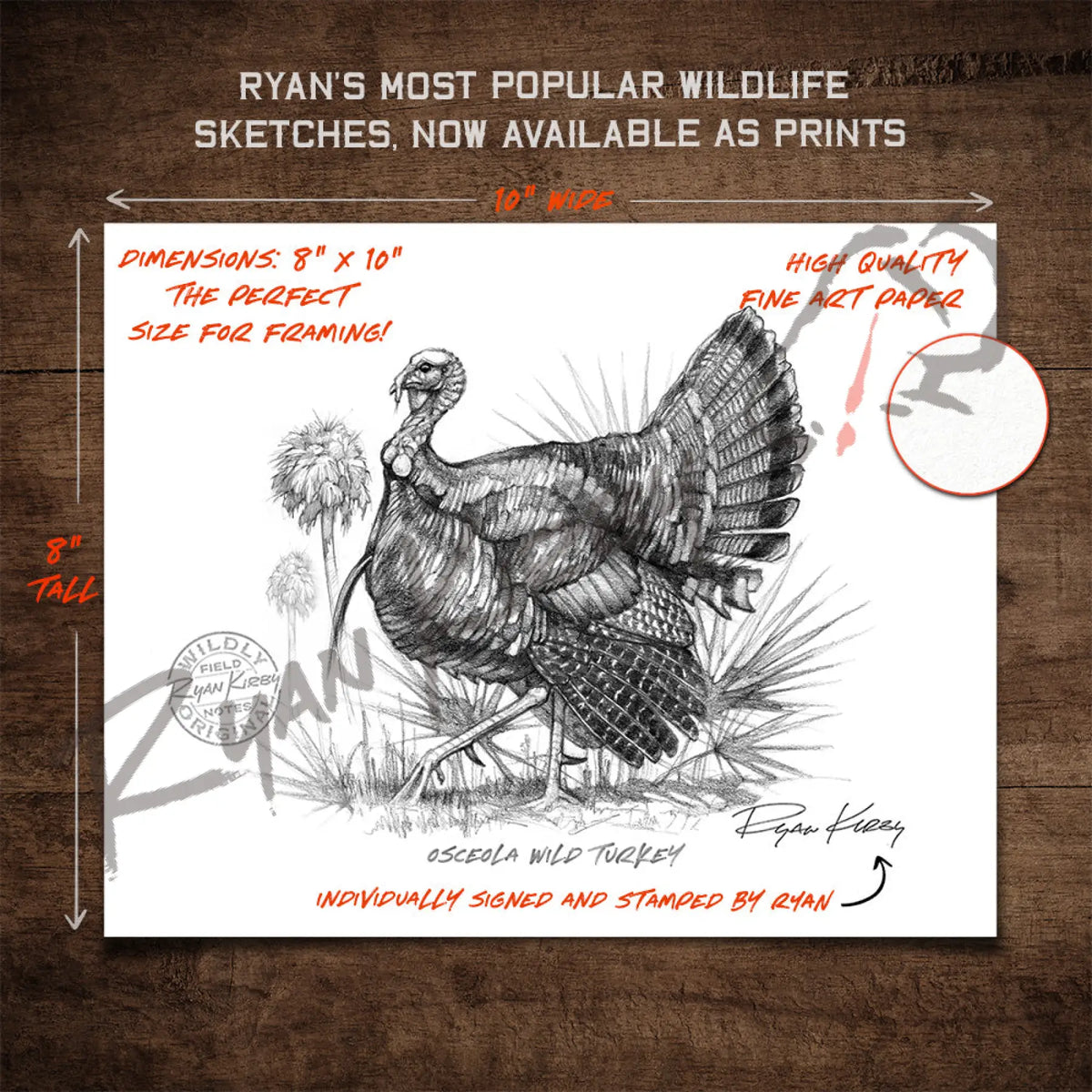Osceola Wild Turkey Sketch Print | Ryan Kirby Wildlife and Hunting Art Osceola Wild Turkey Sketch Print | Ryan Kirby Wildlife and Hunting Art