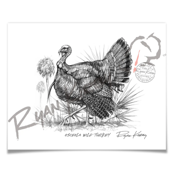 Osceola Wild Turkey Sketch Print | Ryan Kirby Wildlife and Hunting Art