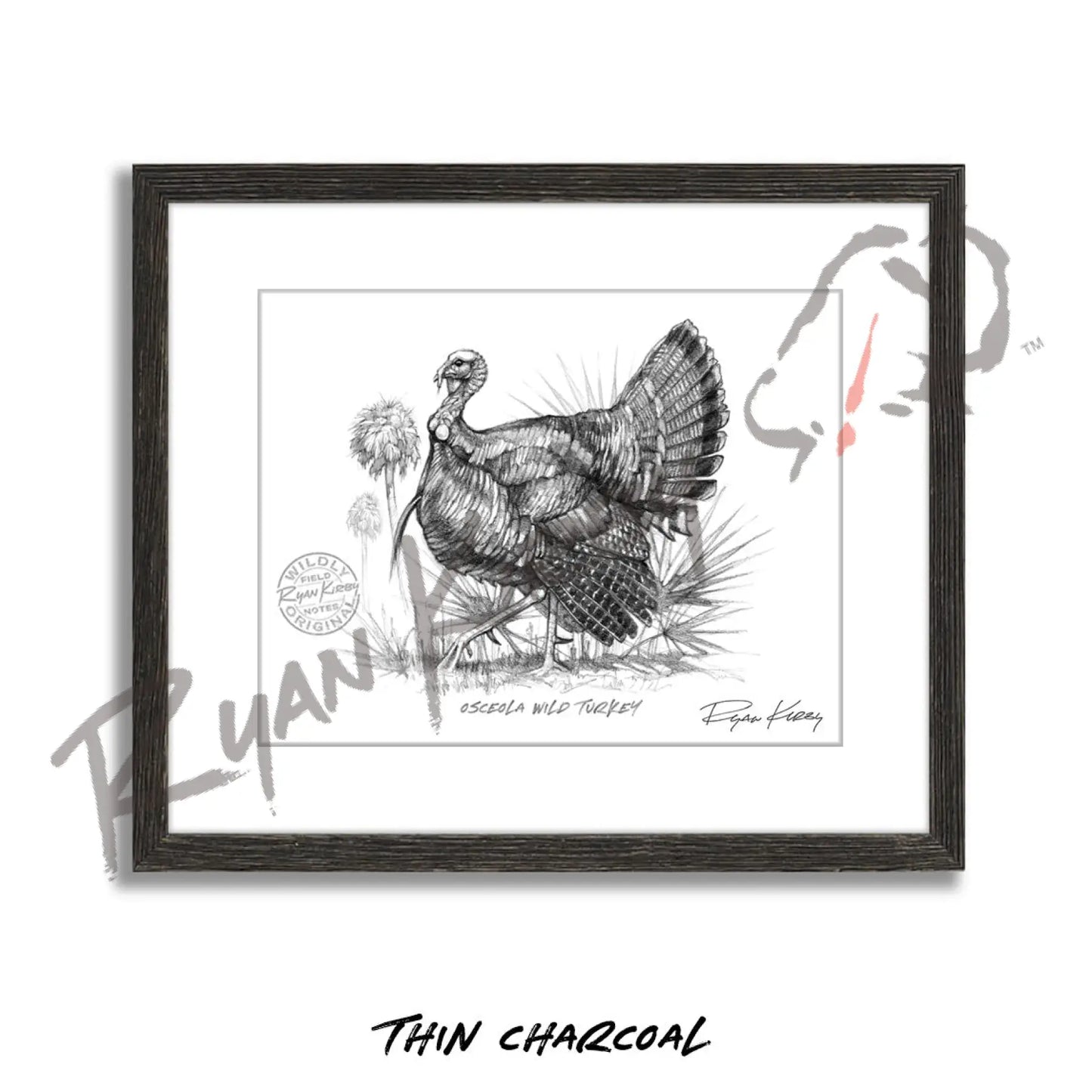 Osceola Wild Turkey Sketch Print Sketch Paper Print