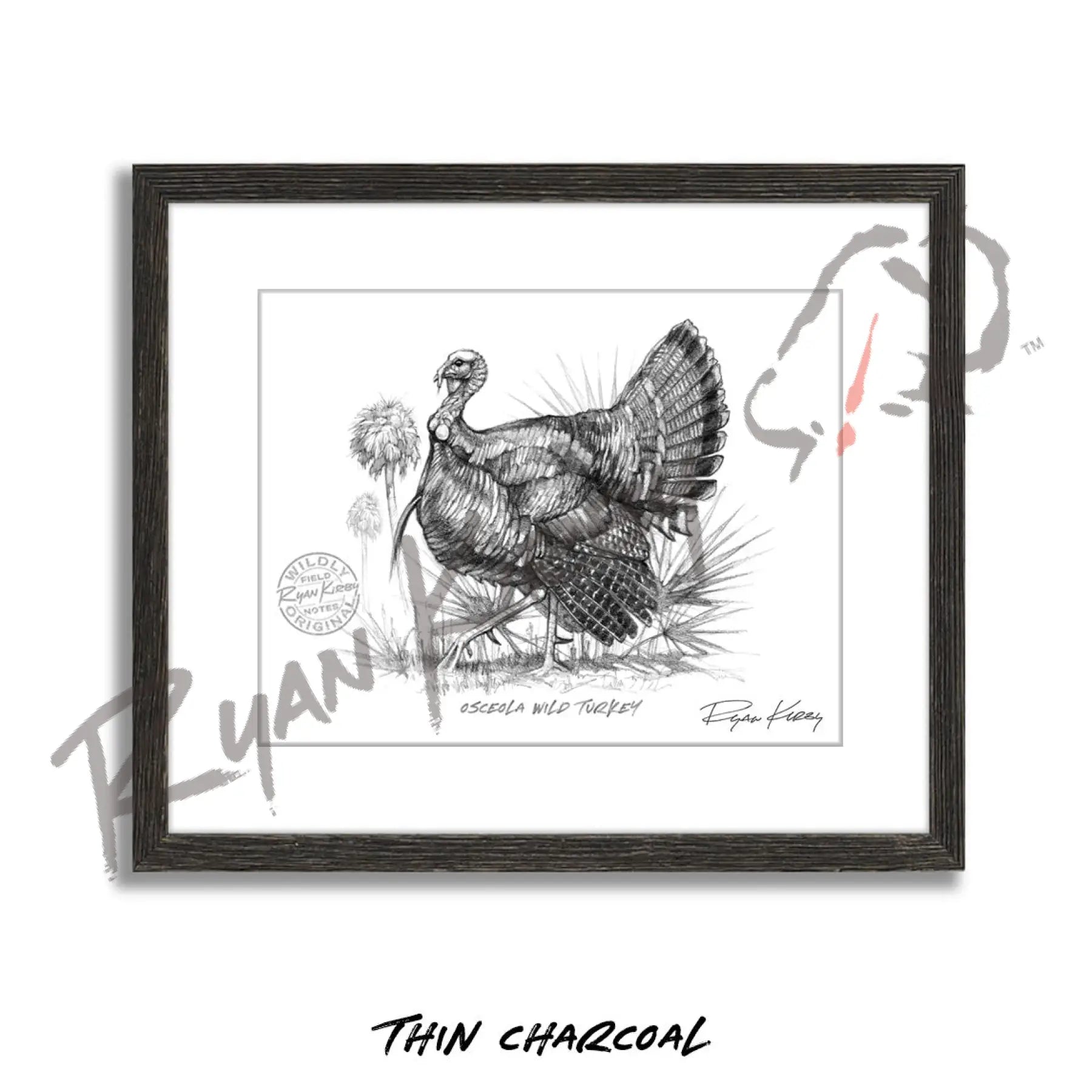 Osceola Wild Turkey Sketch Print Sketch Paper Print