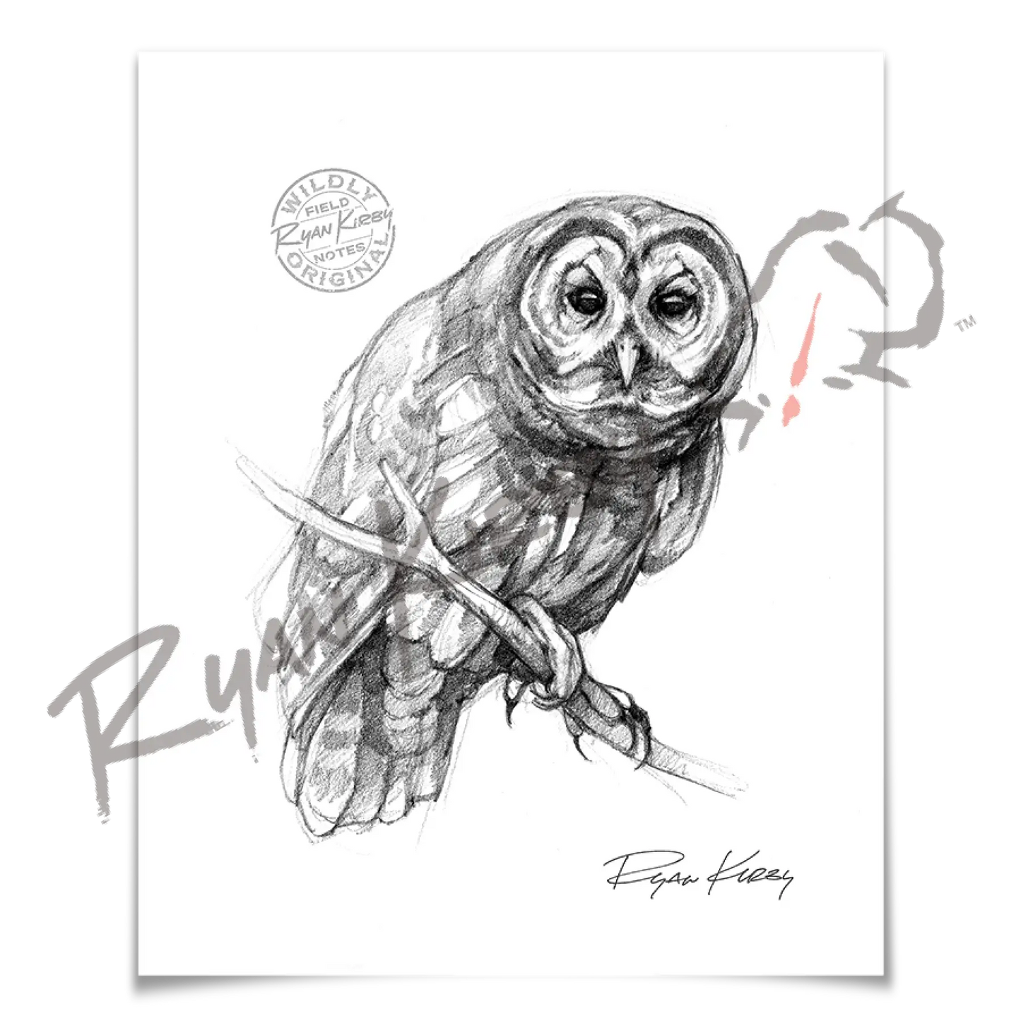 Owl Sketch Print Paper