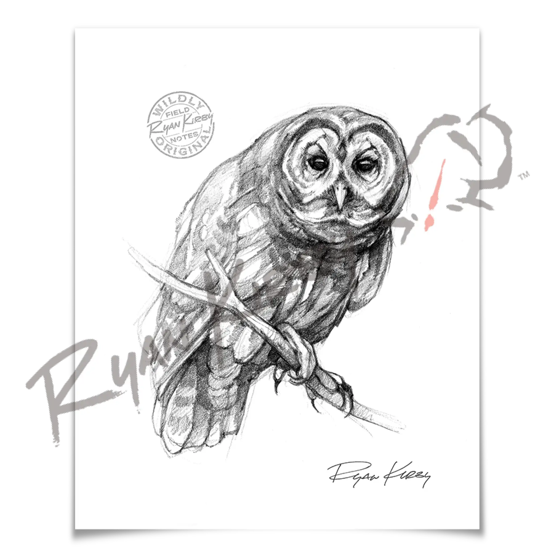 Owl Sketch Print Paper