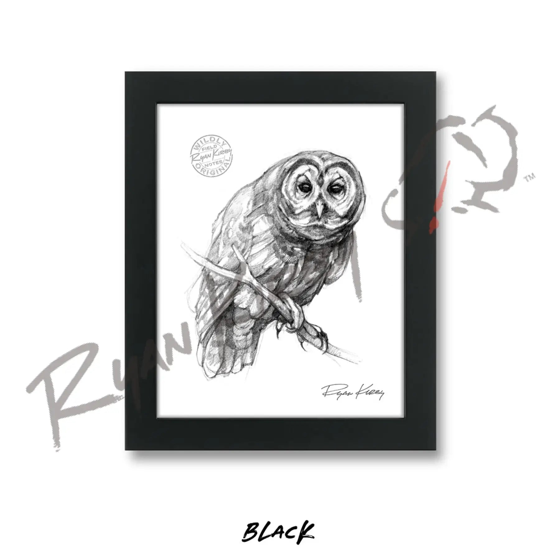 Owl Sketch Print Sketch Paper Print