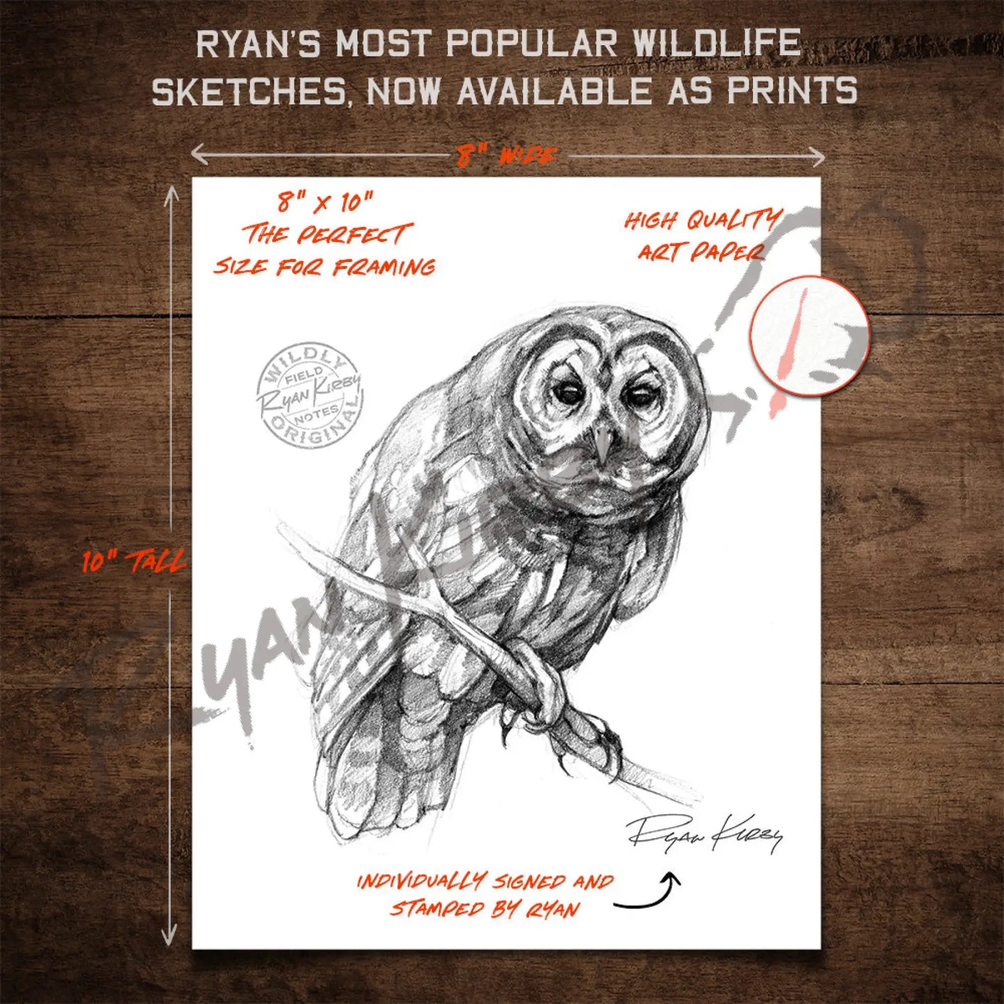 Owl Sketch Print Paper