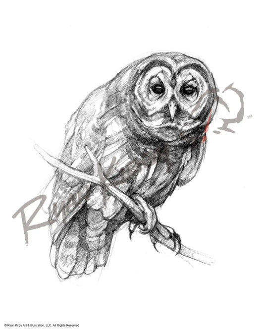 Owl Sketch Print Paper