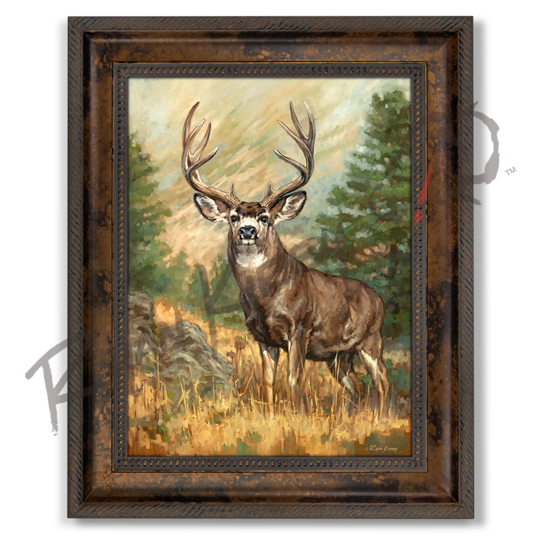 ’Ponderosa Ghost’mule Deer Canvas Art Print Classic Bronze