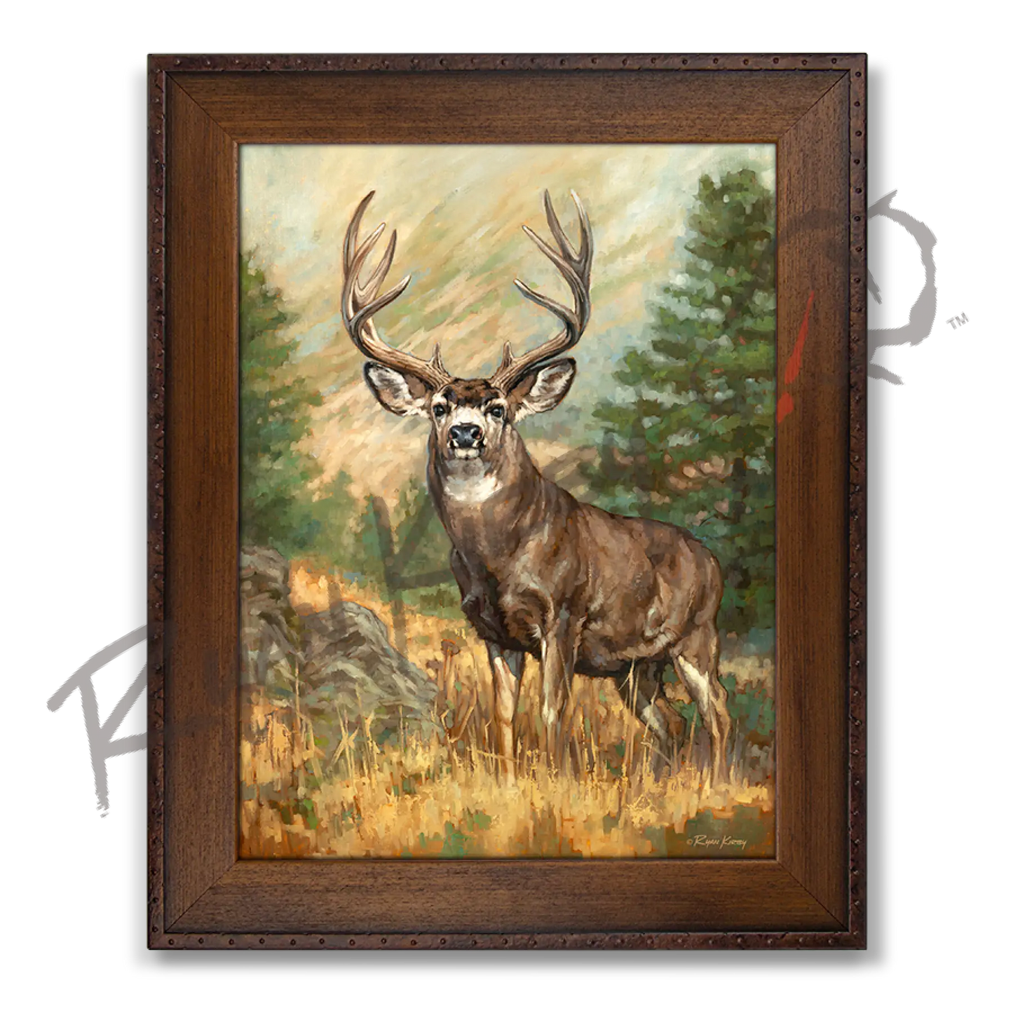 ’Ponderosa Ghost’mule Deer Canvas Art Print Copper Barrel