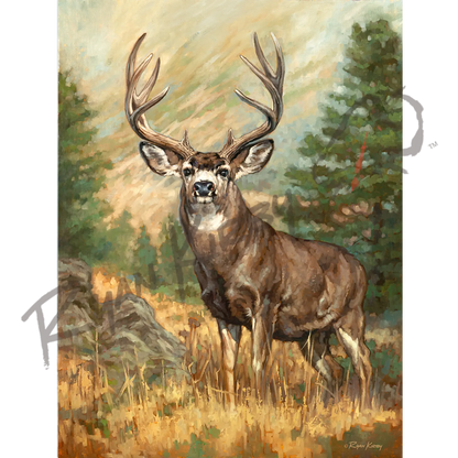 ’Ponderosa Ghost’mule Deer Canvas Art Print Unframed Rolled