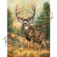 ’Ponderosa Ghost’mule Deer Canvas Art Print Unframed Rolled