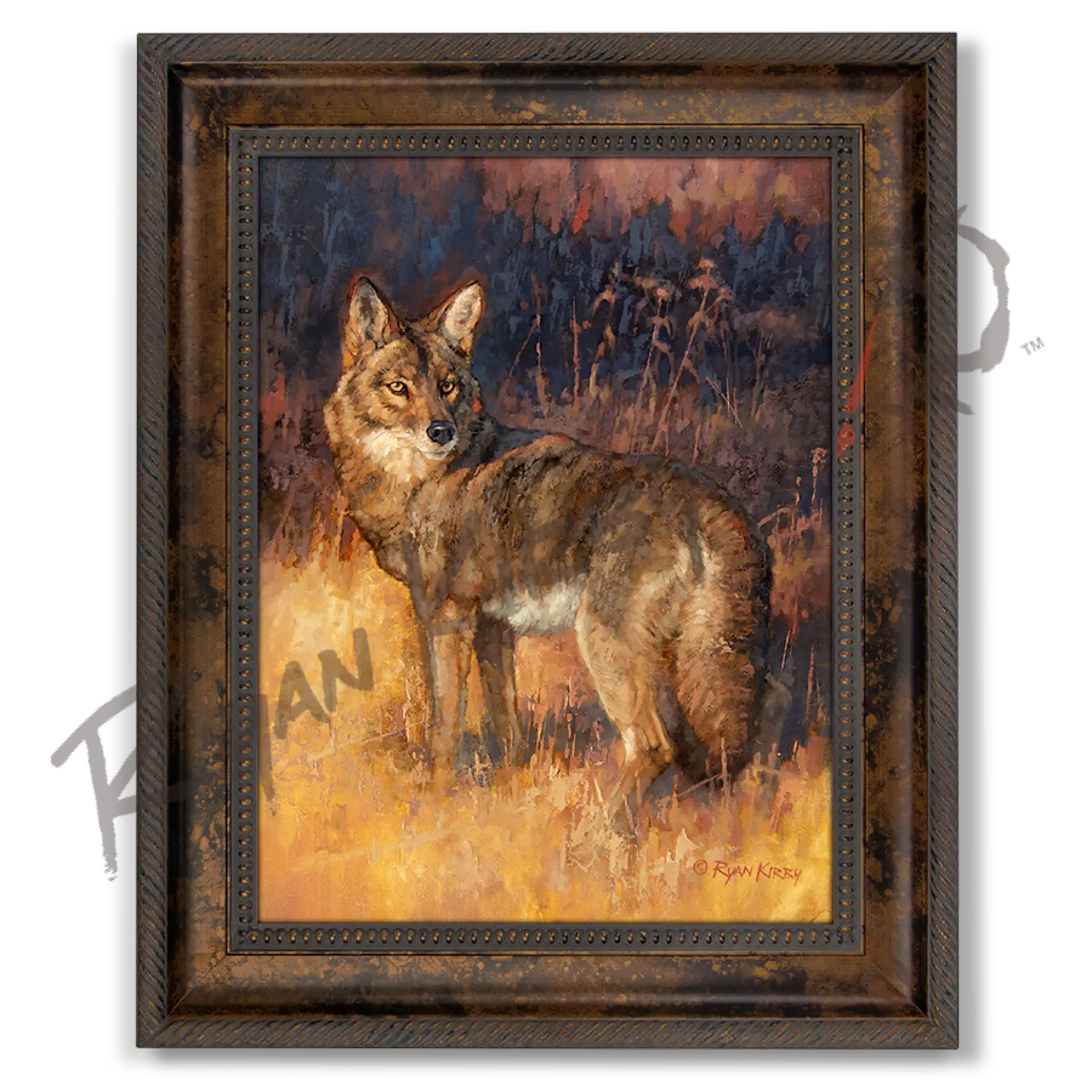 ’Rabbit Rustler’ Coyote Hunting Canvas Art Print