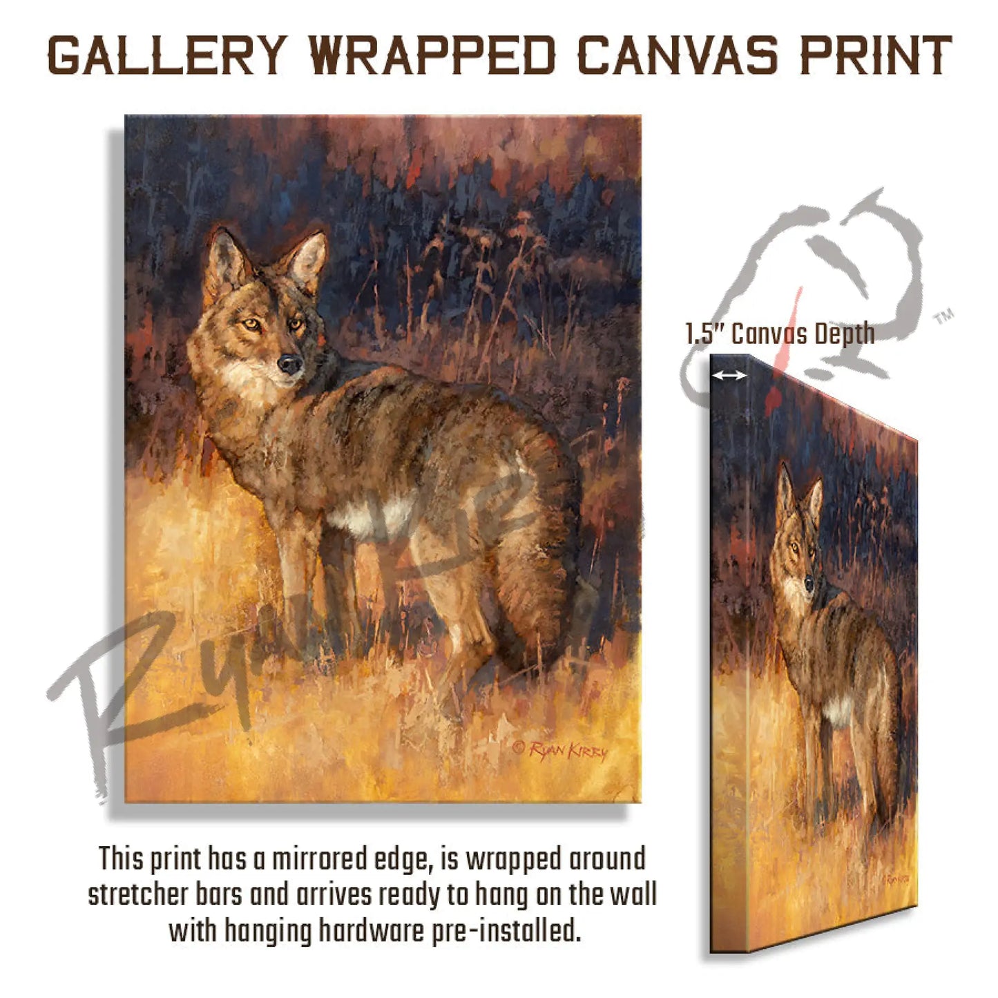 ’Rabbit Rustler’ Coyote Hunting Canvas Art Print Gallery Wrapped 18’’ X 24’’