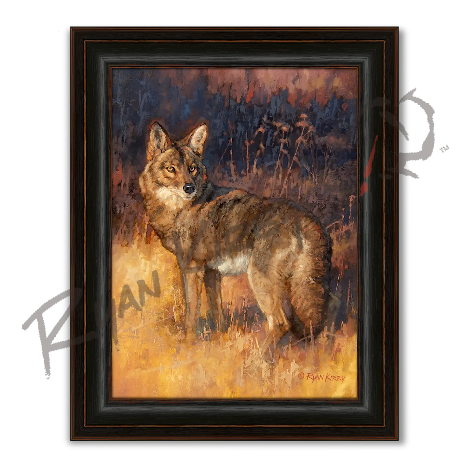 ’Rabbit Rustler’ Coyote Hunting Canvas Art Print - Midnight Oak - Canvas Print