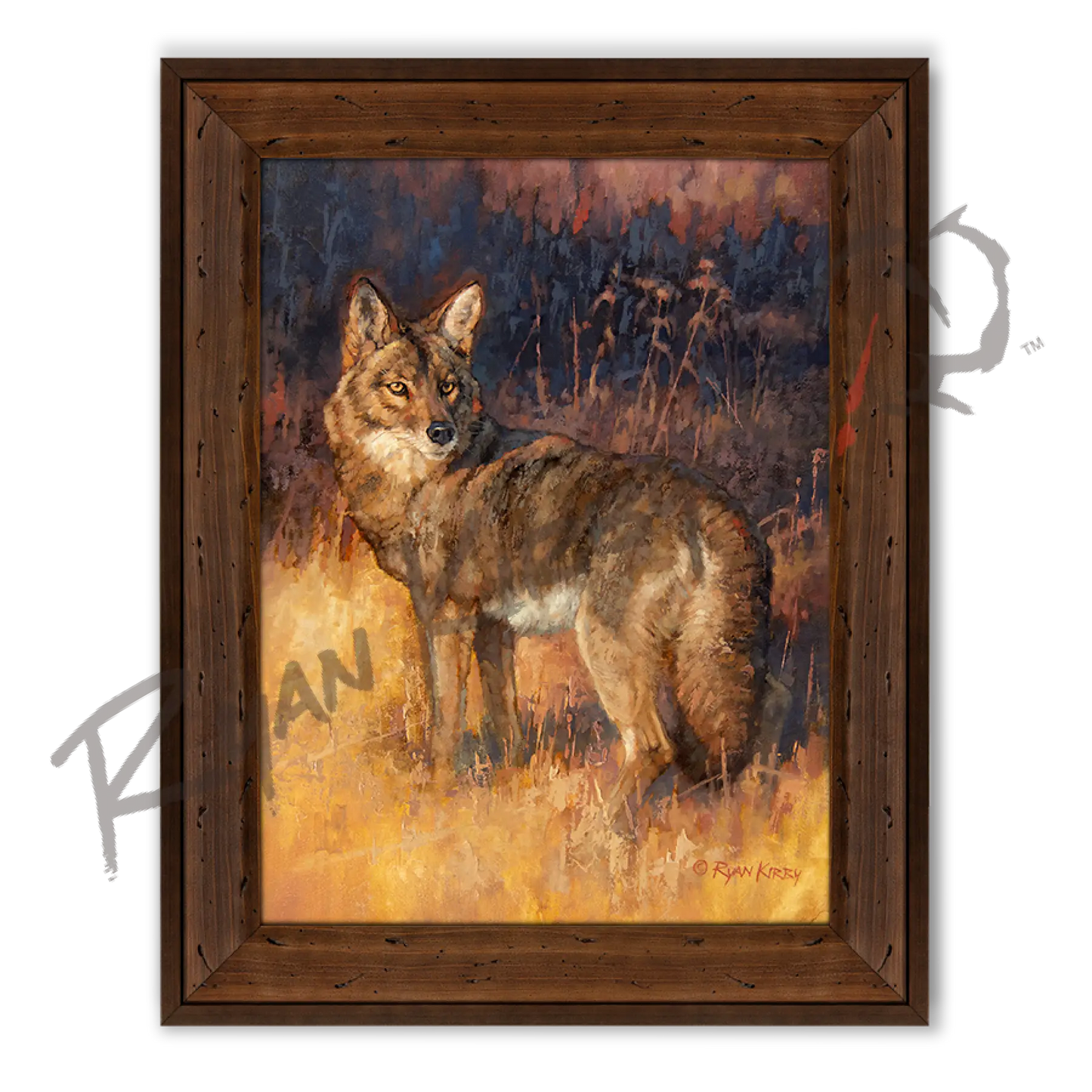 ’Rabbit Rustler’ Coyote Hunting Canvas Art Print