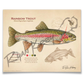Rainbow Trout Fine Art Print - Sketch Paper Print