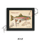 Rainbow Trout Fine Art Print - Sketch Paper Print