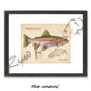 Rainbow Trout Fine Art Print - Sketch Paper Print